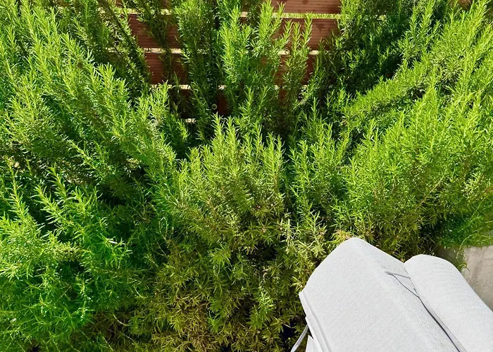 Rhodes 365 * Sgourou