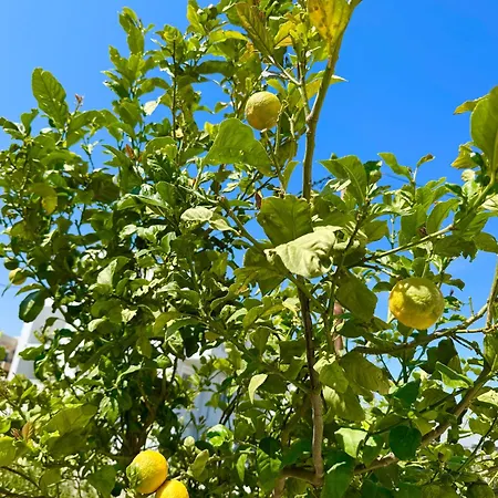 Rhodes 365 Βίλα *